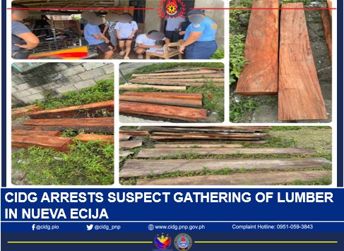 CIDG arrests man for illegal forest product gathering in Nueva Ecija
