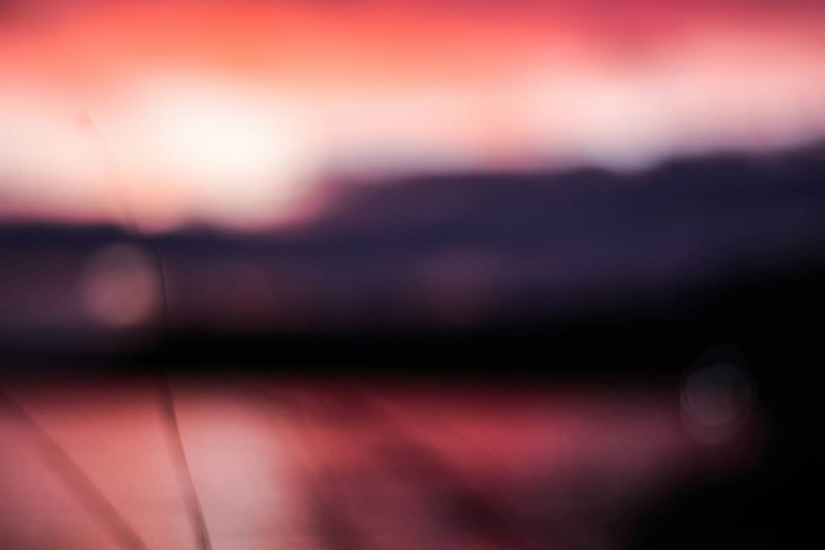Mitchell Young on Unsplash