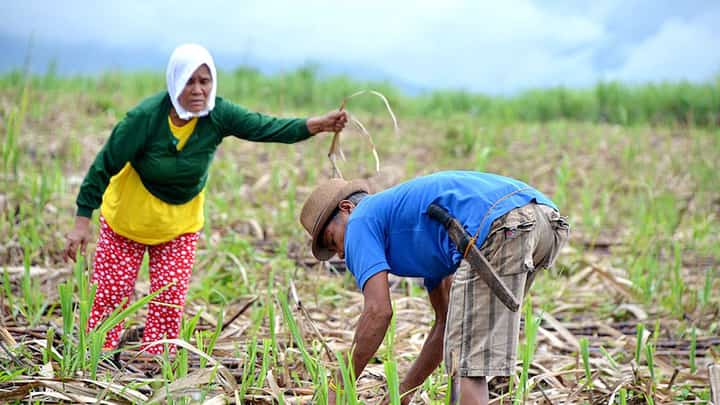 DAR grants land titles, P61.2-M debt relief to farmers