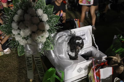 Furry Halloween At Pasig