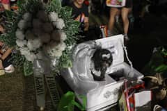 Furry Halloween At Pasig