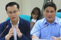 Senate panel okays DAR’s P17.4-B budget