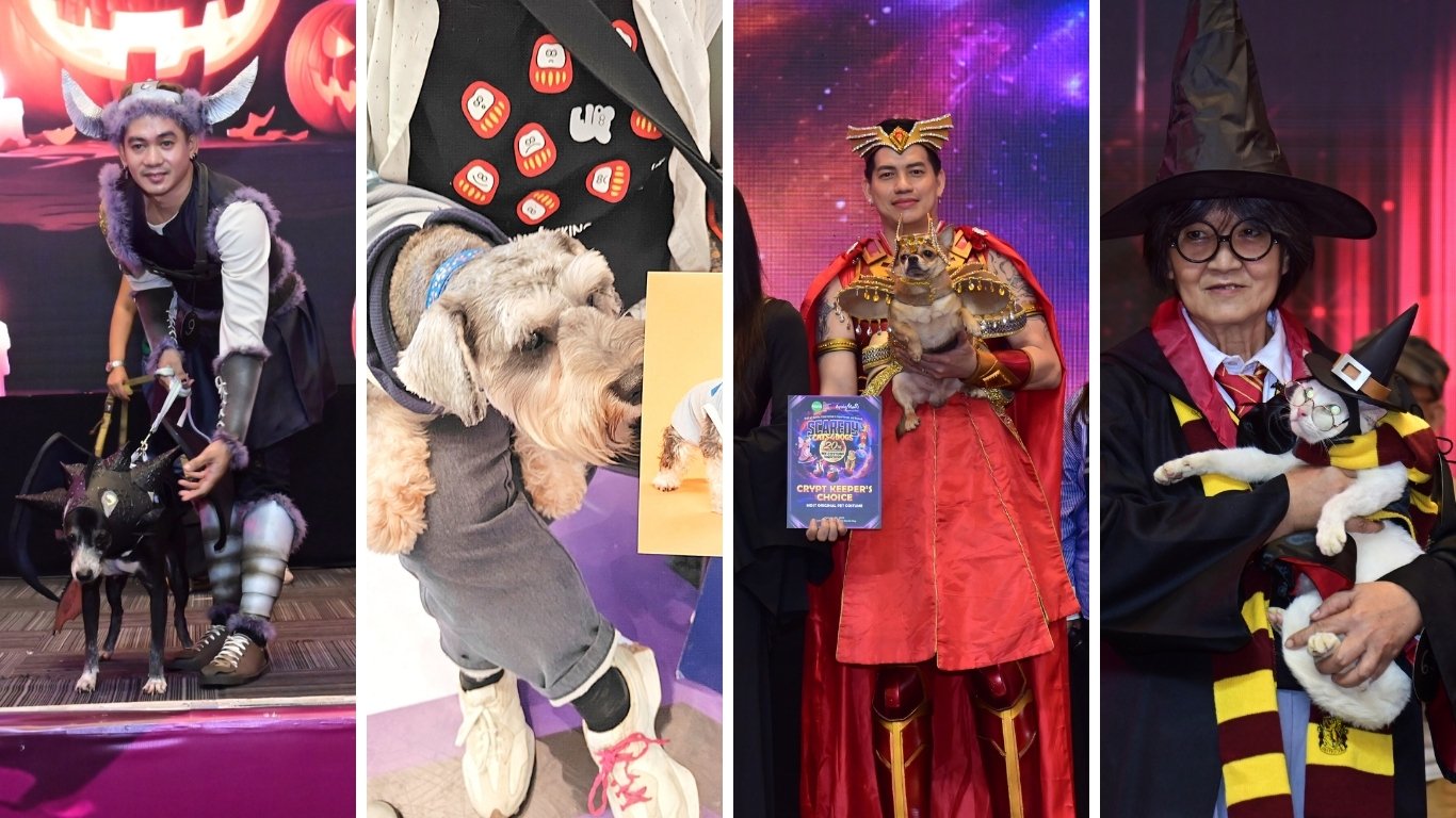 It’s spooktacular when pets wear all the costumes