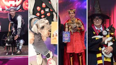 It’s spooktacular when pets wear all the costumes