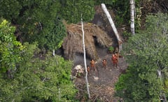 Isolated indigenous peoples face extinction