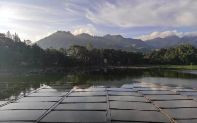 South Cotabato probes Dolefil’s alleged tree cutting in Lake Sebu