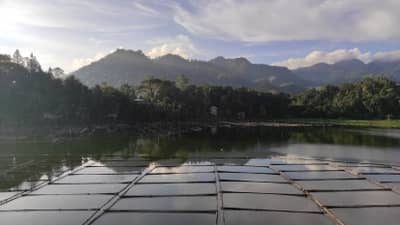 South Cotabato probes Dolefil’s alleged tree cutting in Lake Sebu
