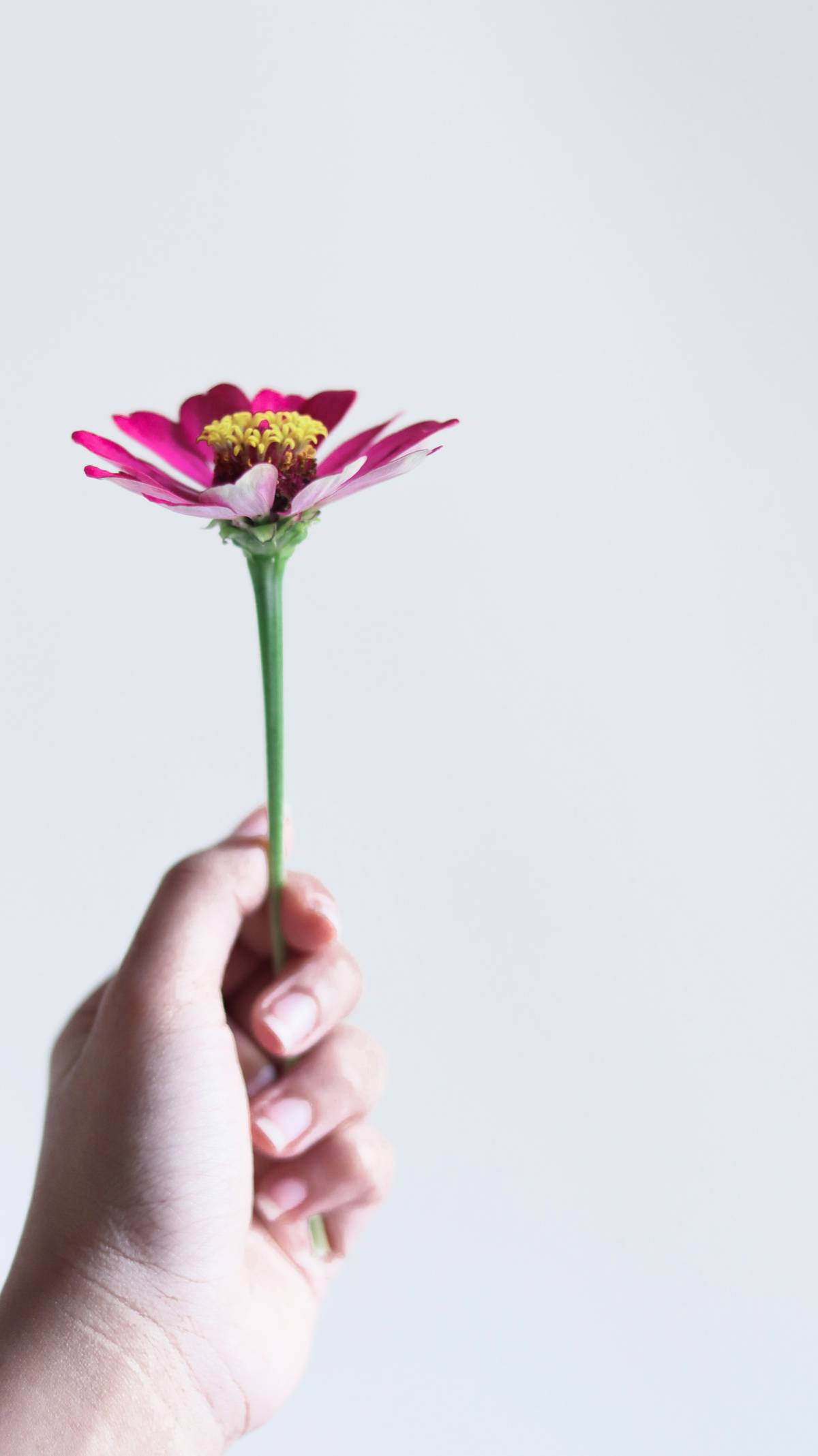 Every ‘it’s good to see you’ is a flower given in full bloom.