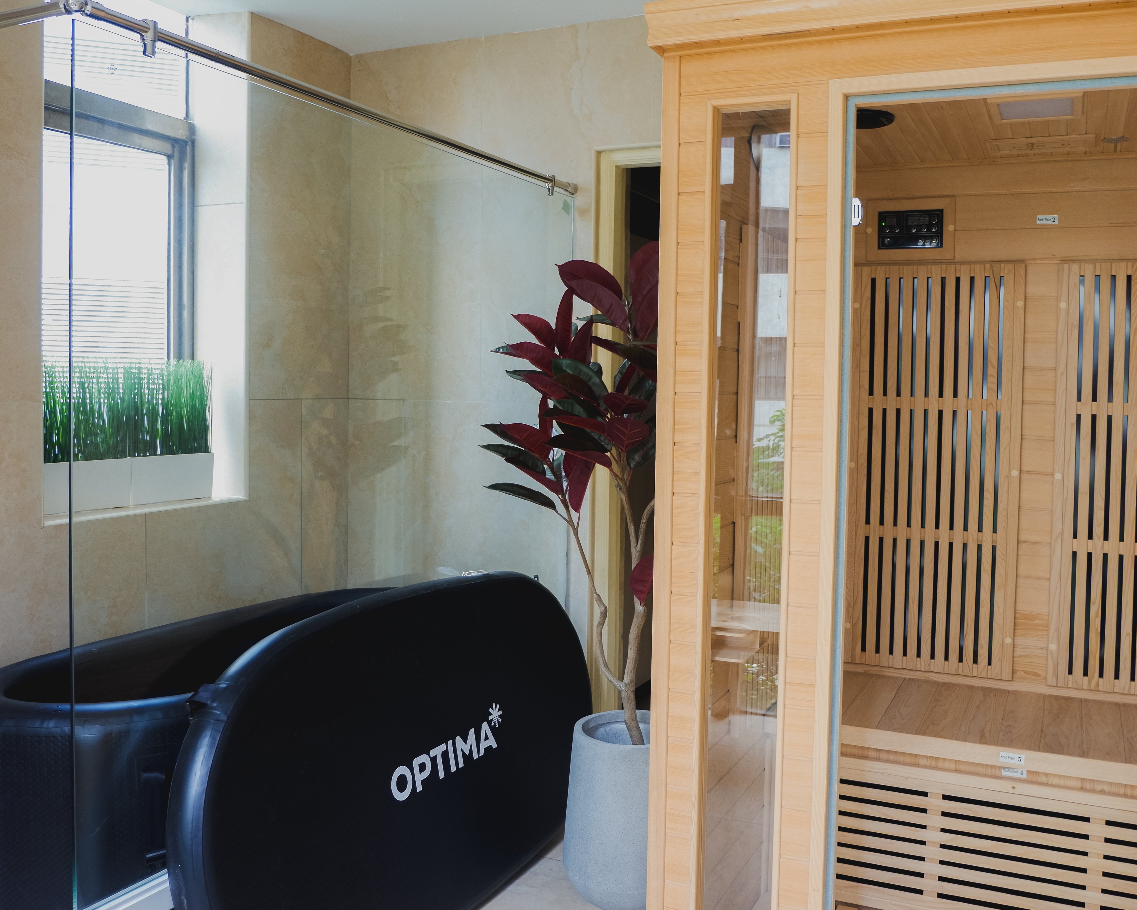 Cold Plunge and Sauna Room.