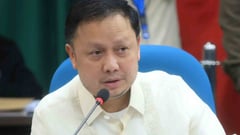 Zaldy Co’s aircraft can’t be sold — CAAP