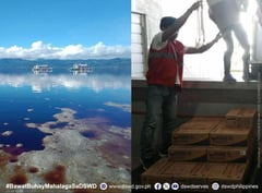 DSWD aids families affected by wastewater spill in Negros Oriental