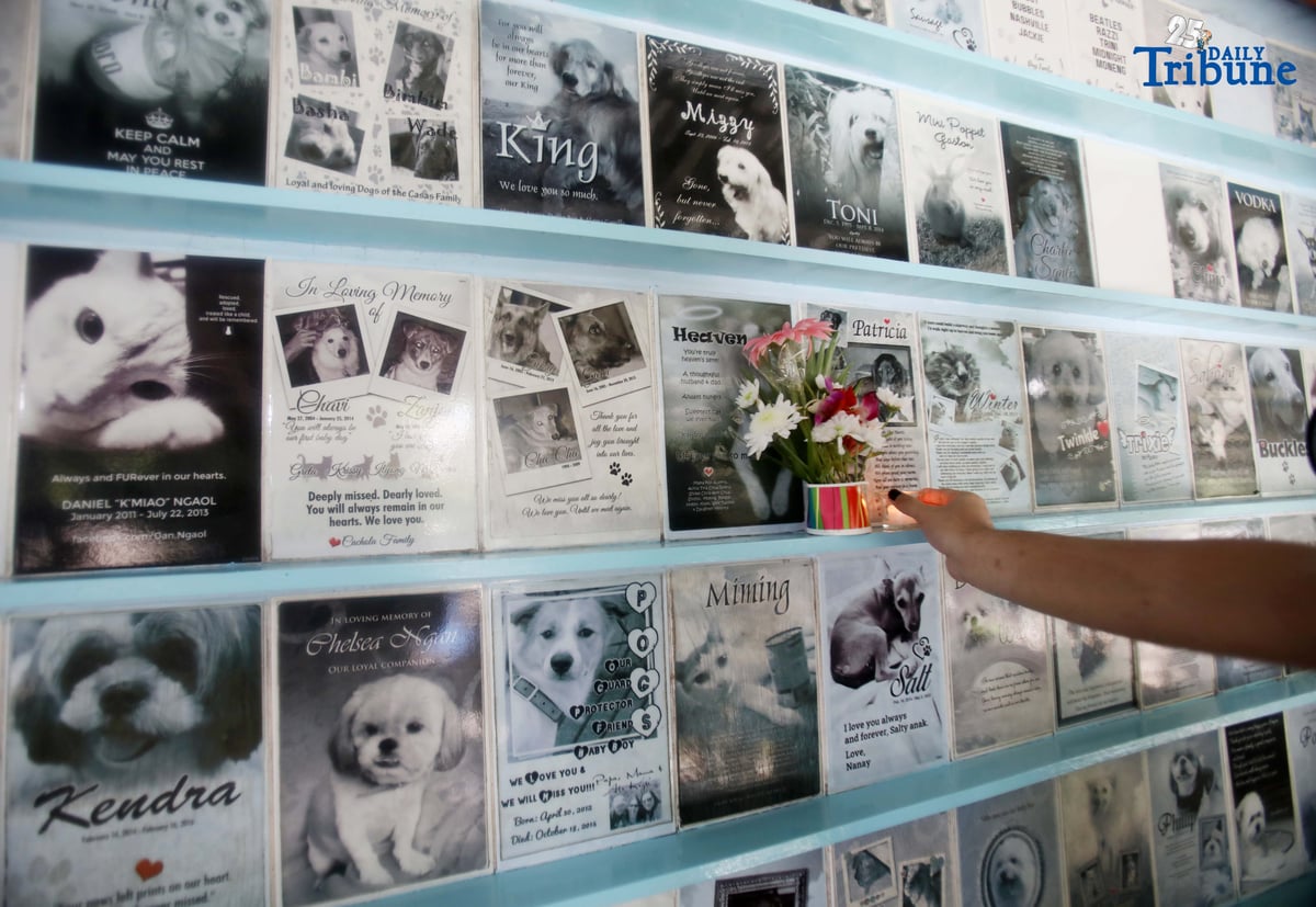 (November 01 2025) On All Saints Day Celebration, fur parents visit his pet memorial wall and offer flowers and candles at PAWS Animal Welfare Center in Quezon City on Saturday November 1 2025. Photo/Analy Labor