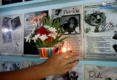 Pet Memorial Wall 