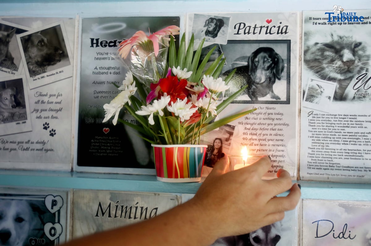 (November 01 2025) On All Saints Day Celebration, fur parents visit his pet memorial wall and offer flowers and candles at PAWS Animal Welfare Center in Quezon City on Saturday November 1 2025. Photo/Analy Labor
