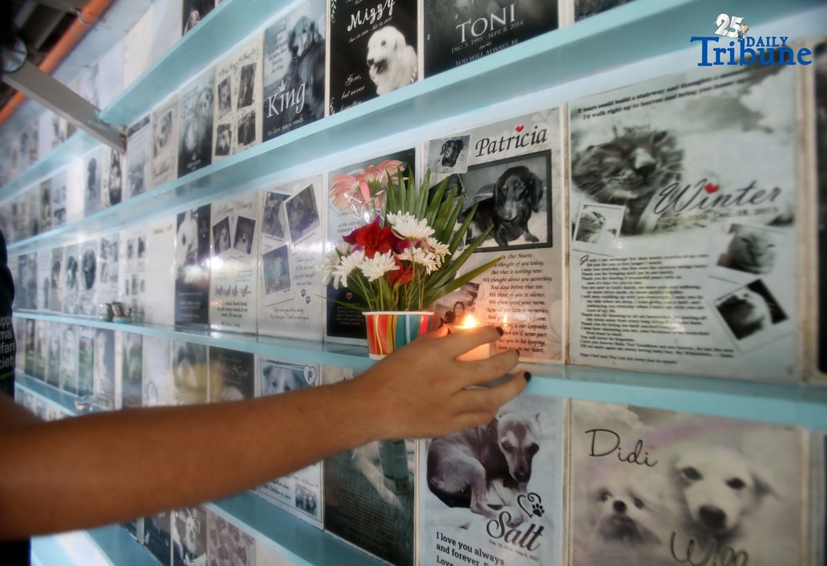 (November 01 2025) On All Saints Day Celebration, fur parents visit his pet memorial wall and offer flowers and candles at PAWS Animal Welfare Center in Quezon City on Saturday November 1 2025. Photo/Analy Labor