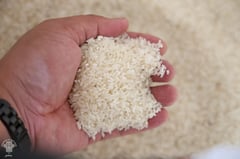 El Niño, food prices threaten inflation outlook – BPI