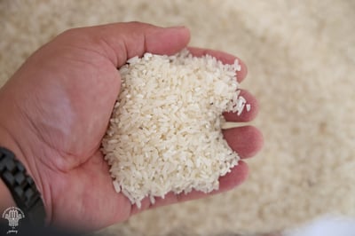 Phl open to sourcing rice from Pakistan