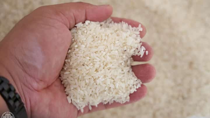 Makati to launch P20 rice project