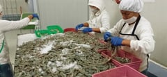 Dialogue spotlights aquaculture
workers’ labor rights