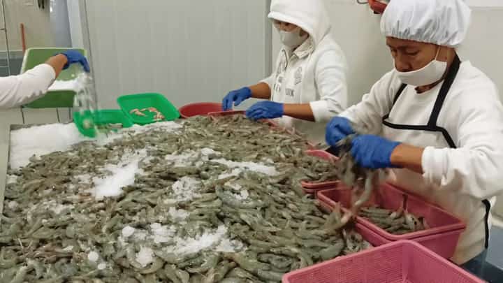 GLOBAL demand for ethically sourced seafood is growing.