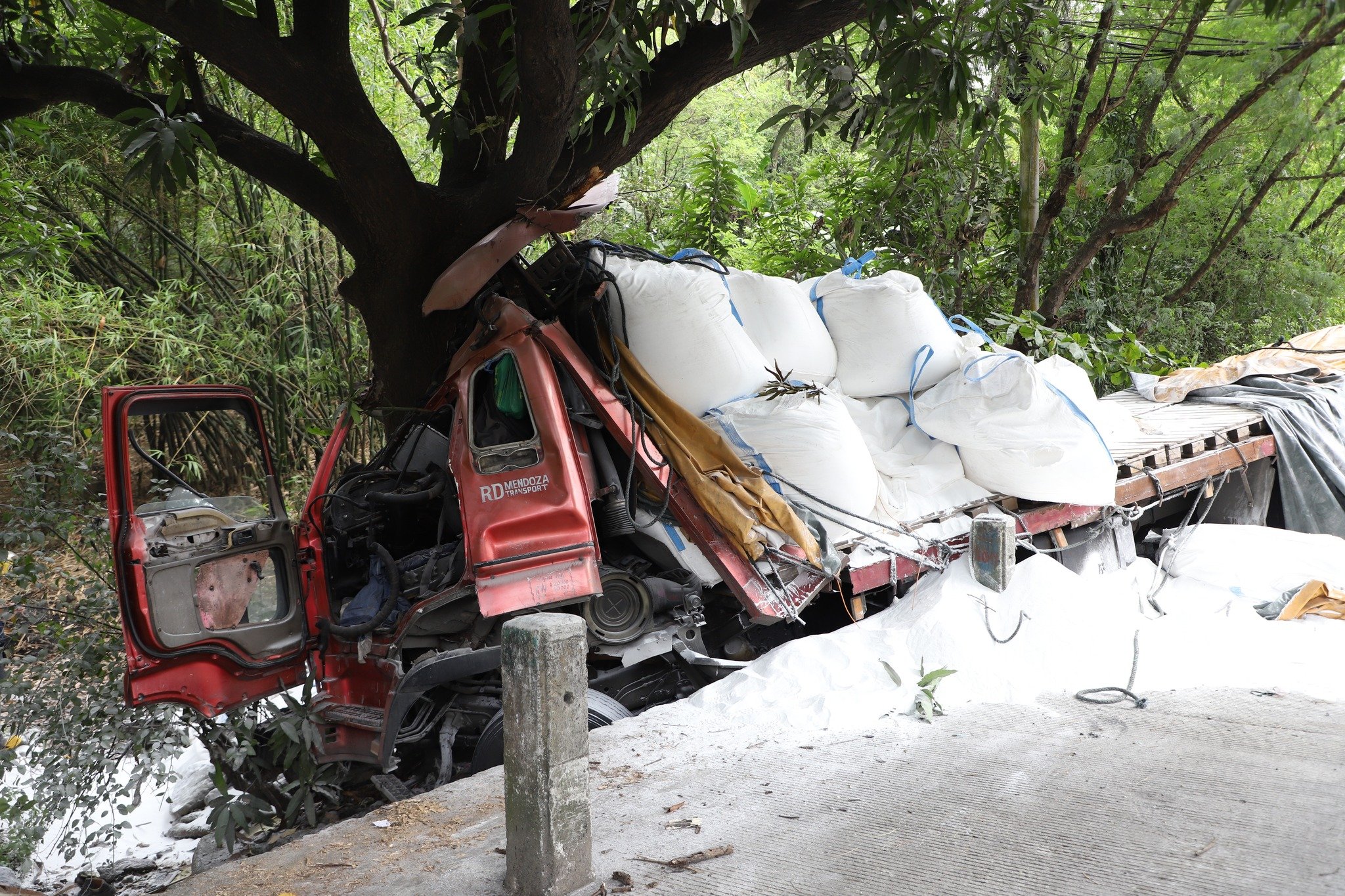 Truck driver, helper injured as vehicle rams tree in Olongapo
