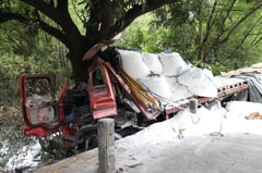 Truck driver, helper injured as vehicle rams tree in Olongapo