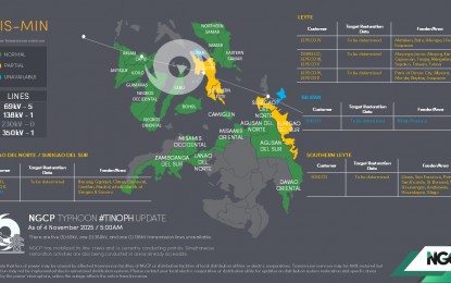 NGCP: ‘Tino’ cuts five transmission lines in Visayas, Mindanao

