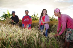 Imee warns of farmers’ struggle on Rice Awareness Month