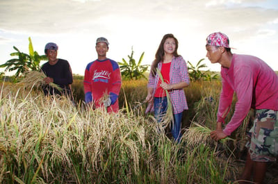 Imee warns of farmers’ struggle on Rice Awareness Month