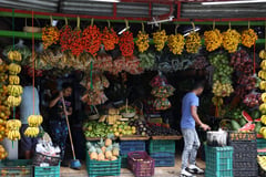 Price growth stalls as food inflation cools