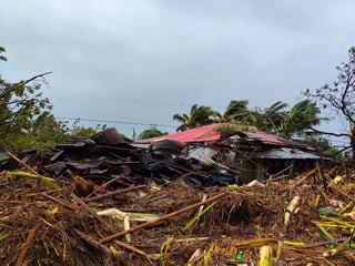 Farms suffer P3.7B loss from #UwanPH, #TinoPH