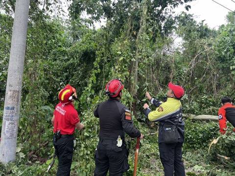 127 missing, 114 dead in Cebu after #TinoPH