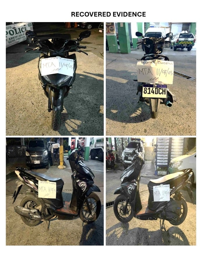 Parañaque police arrest 2 for carnapping, gun possession