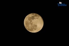 Beaver Super Moon