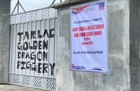Three farms in Barangays Lawy and Manga were ordered to cease operations on 06 November 2025.