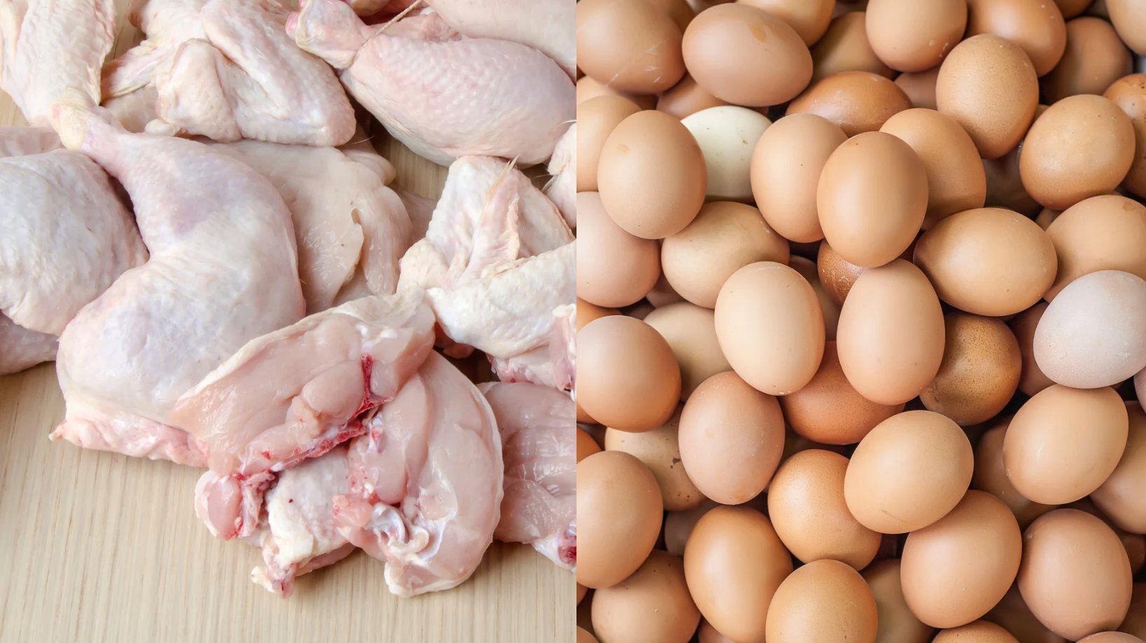 Dutch poultry imports halted anew