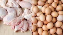 Dutch poultry imports halted anew