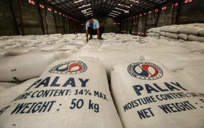 Government sets NFA as temporary palay price benchmark