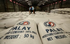 Government sets NFA as temporary palay price benchmark