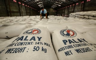 Government sets NFA as temporary palay price benchmark