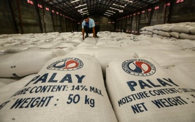 Government sets NFA as temporary palay price benchmark