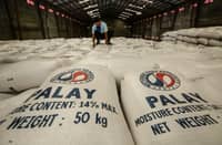 Government sets NFA as temporary palay price benchmark