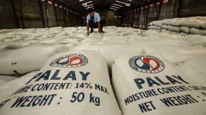 Government sets NFA as temporary palay price benchmark