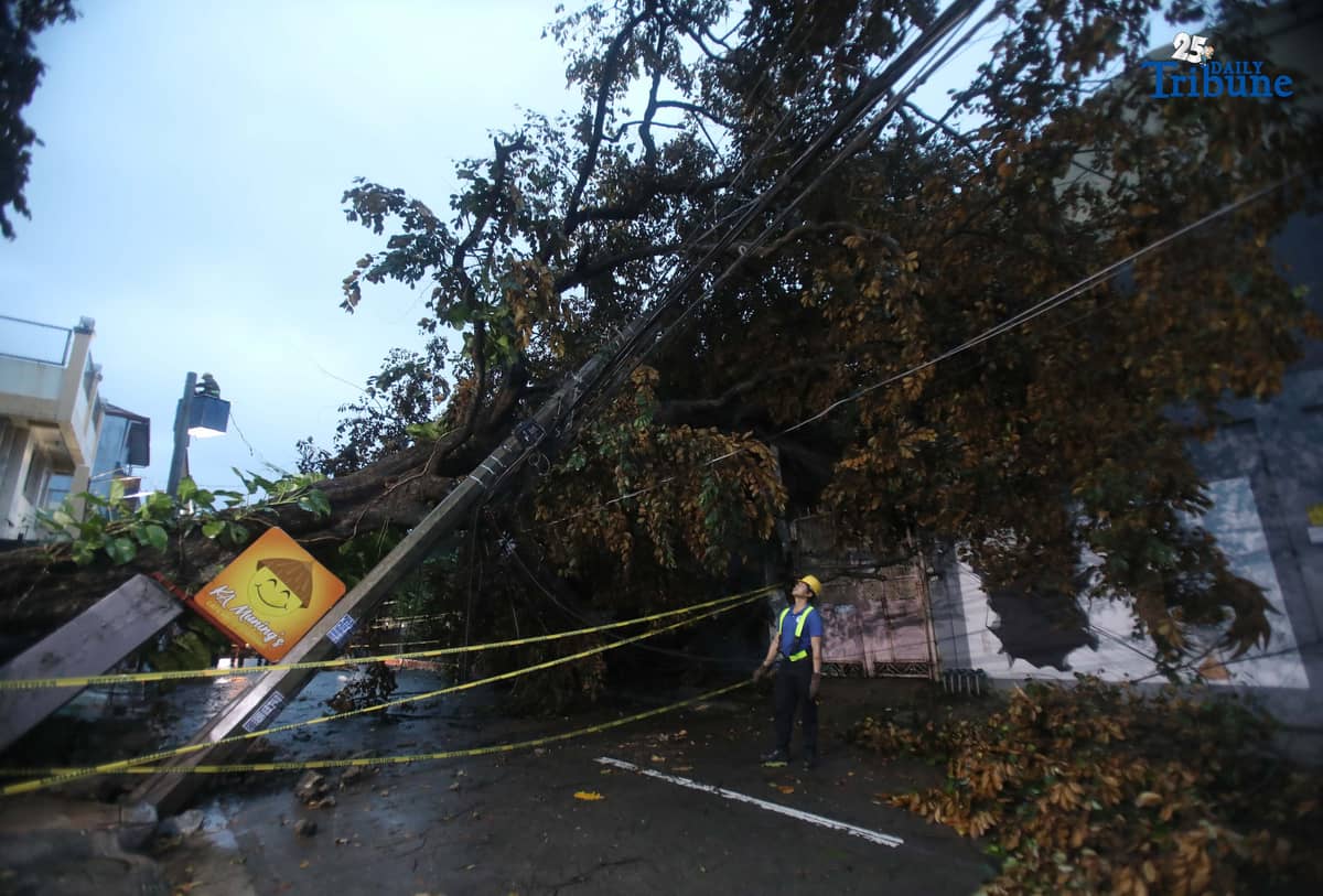 ELCOR, a Meralco contractor, responds to a toppled electric post along K-1st Street in Quezon City early Monday, after strong winds from Super Typhoon Uwan caused a tree to fall and damage the line.
