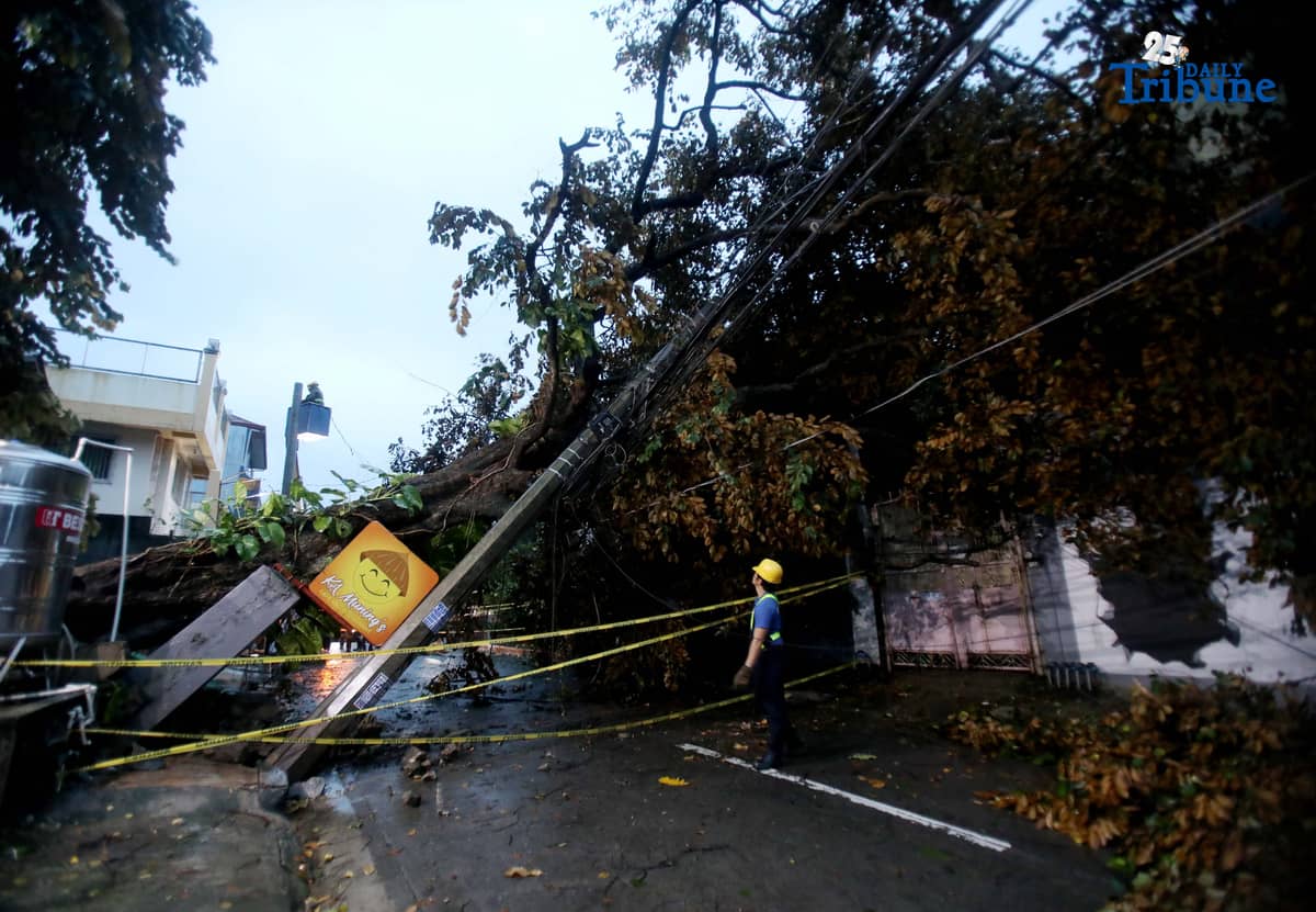 ELCOR, a Meralco contractor, responds to a toppled electric post along K-1st Street in Quezon City early Monday, after strong winds from Super Typhoon Uwan caused a tree to fall and damage the line.