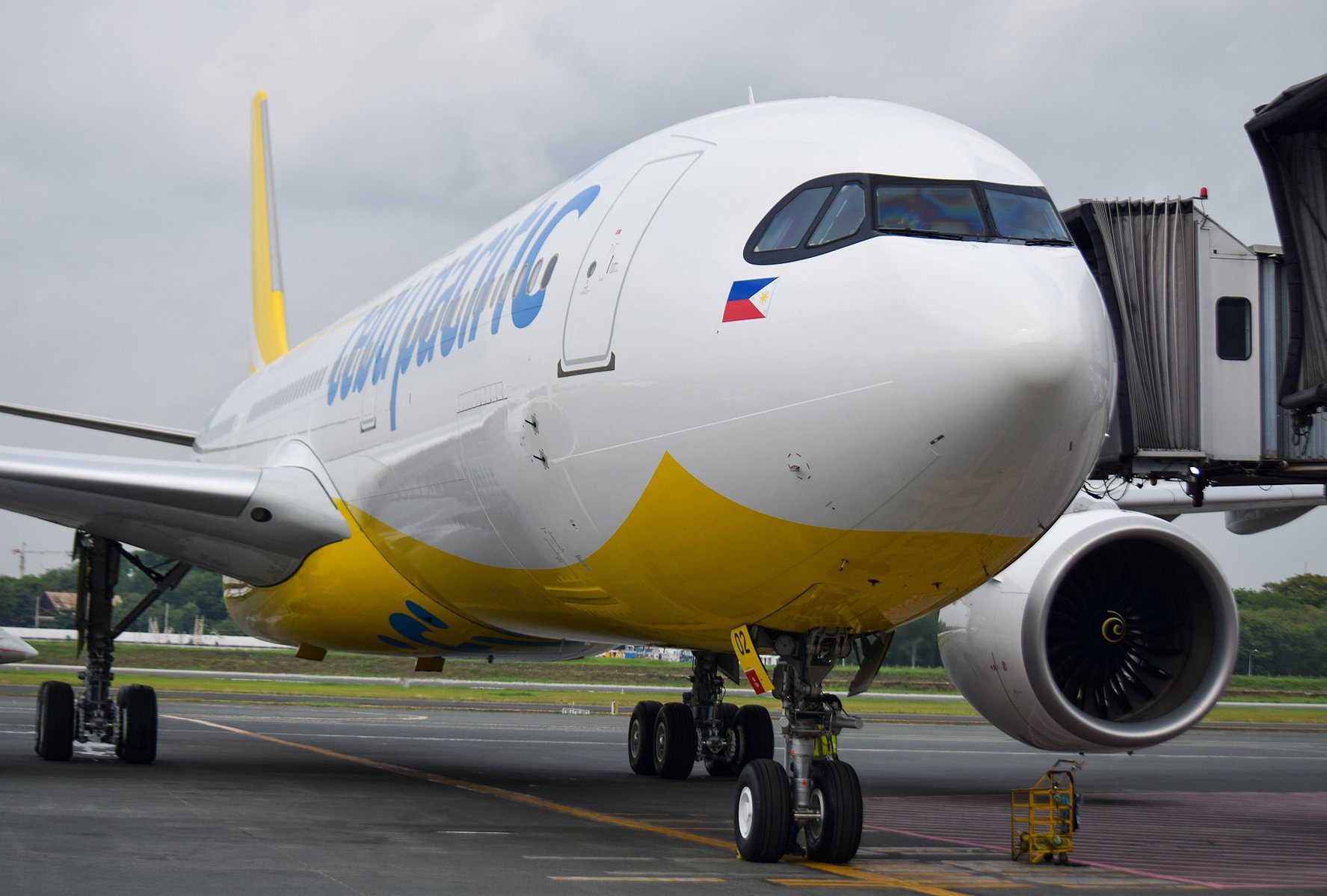 Holiday rush prompts CEB fleet expansion 