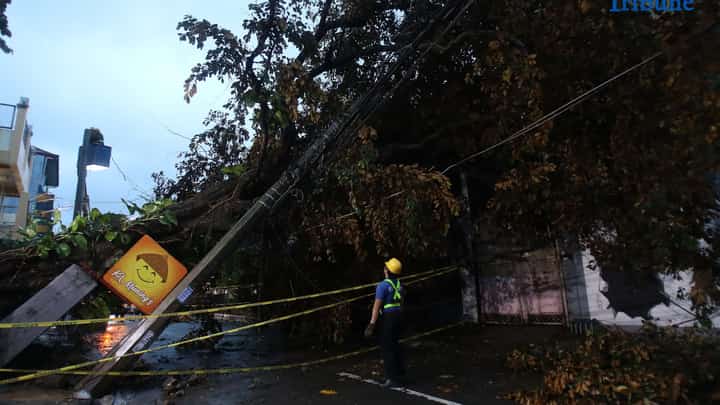 ELCOR, a Meralco contractor, responds to a toppled electric post along K-1st Street in Quezon City early Monday, after strong winds from Super Typhoon Uwan caused a tree to fall and damage the line.