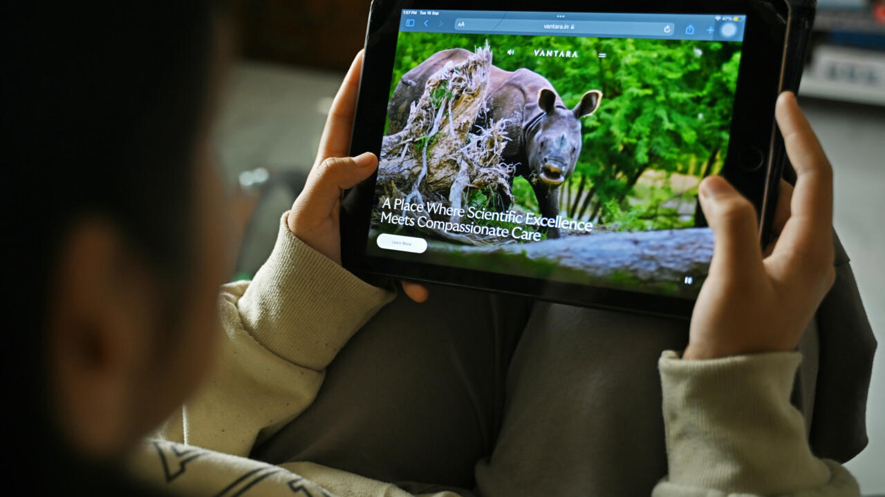 India urged to suspend imports of endangered species