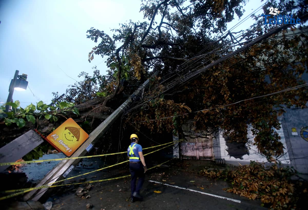 ELCOR, a Meralco contractor, responds to a toppled electric post along K-1st Street in Quezon City early Monday, after strong winds from Super Typhoon Uwan caused a tree to fall and damage the line.
