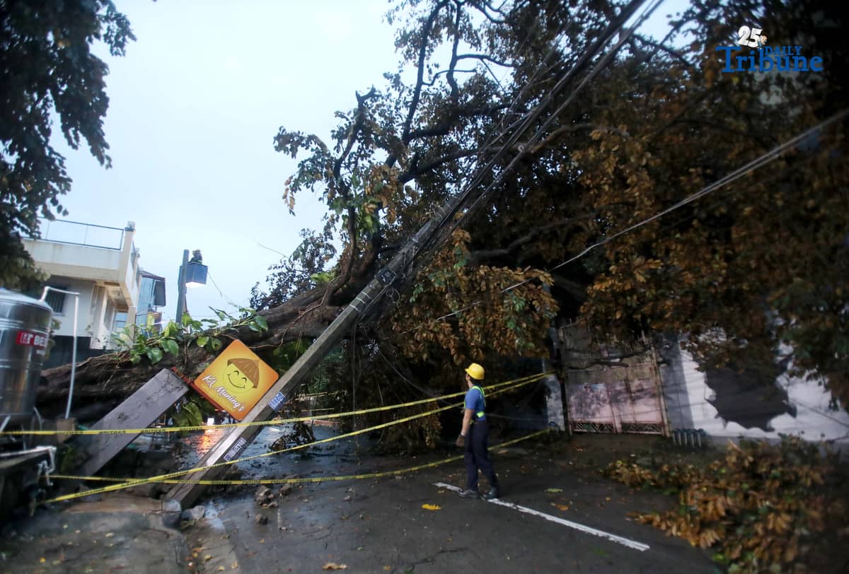ELCOR, a Meralco contractor, responds to a toppled electric post along K-1st Street in Quezon City early Monday, after strong winds from Super Typhoon Uwan caused a tree to fall and damage the line.